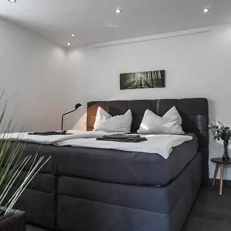 Neu gebautes Apartment mit Sonnenterasse in der Nähe vom Siebengebirge&Bonn Königswinter Exterior foto